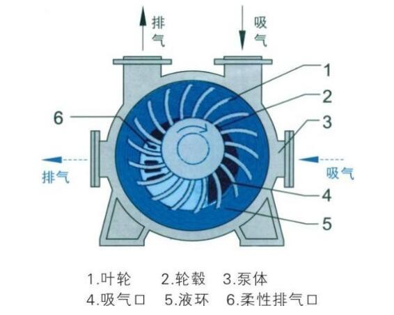 水環(huán)式真空泵